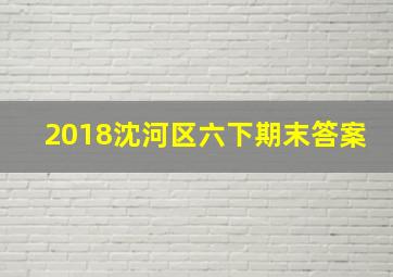 2018沈河区六下期末答案