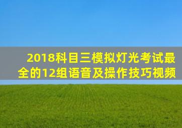 2018科目三模拟灯光考试最全的12组语音及操作技巧视频