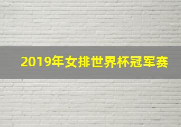 2019年女排世界杯冠军赛