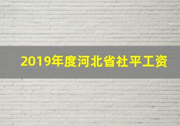 2019年度河北省社平工资