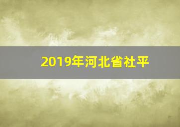 2019年河北省社平