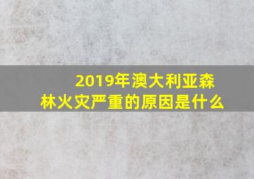 2019年澳大利亚森林火灾严重的原因是什么