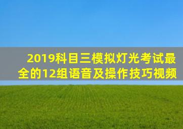 2019科目三模拟灯光考试最全的12组语音及操作技巧视频