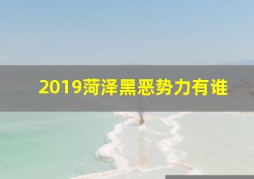 2019菏泽黑恶势力有谁