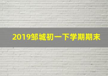 2019邹城初一下学期期末