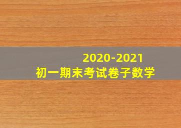 2020-2021初一期末考试卷子数学