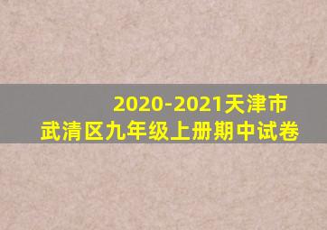 2020-2021天津市武清区九年级上册期中试卷