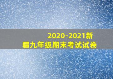 2020-2021新疆九年级期末考试试卷