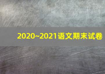 2020~2021语文期末试卷