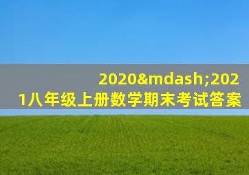 2020—2021八年级上册数学期末考试答案