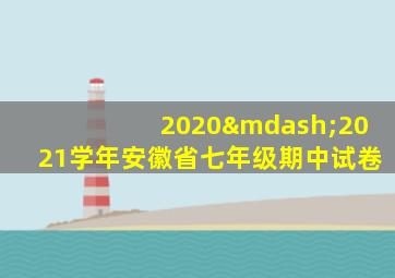 2020—2021学年安徽省七年级期中试卷