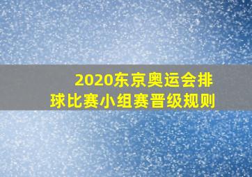 2020东京奥运会排球比赛小组赛晋级规则