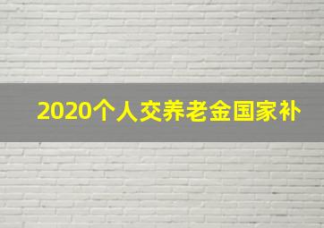 2020个人交养老金国家补