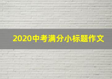 2020中考满分小标题作文