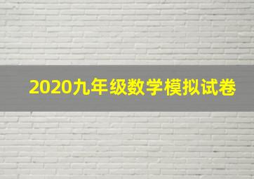 2020九年级数学模拟试卷