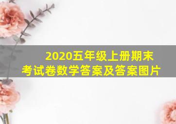 2020五年级上册期末考试卷数学答案及答案图片