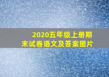 2020五年级上册期末试卷语文及答案图片