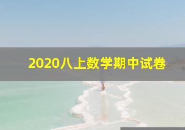 2020八上数学期中试卷