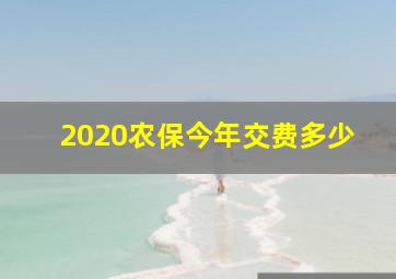 2020农保今年交费多少