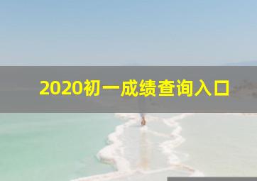 2020初一成绩查询入口