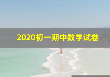 2020初一期中数学试卷