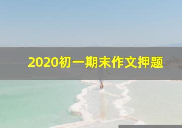 2020初一期末作文押题