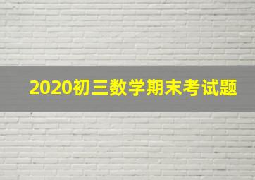 2020初三数学期末考试题