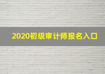 2020初级审计师报名入口