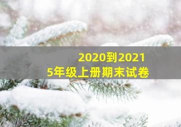 2020到20215年级上册期末试卷