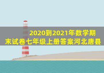 2020到2021年数学期末试卷七年级上册答案河北唐县