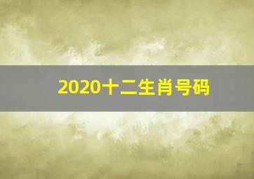 2020十二生肖号码