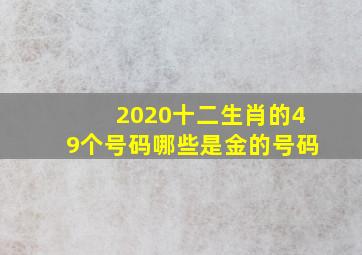 2020十二生肖的49个号码哪些是金的号码