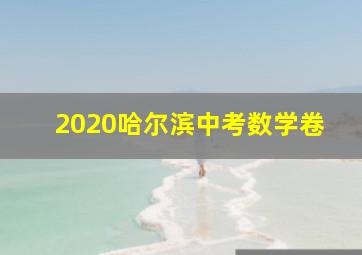 2020哈尔滨中考数学卷