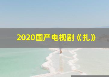 2020国产电视剧《扎》