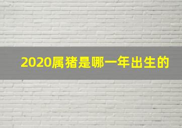 2020属猪是哪一年出生的