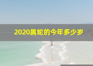 2020属蛇的今年多少岁