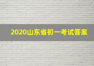 2020山东省初一考试答案