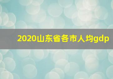 2020山东省各市人均gdp