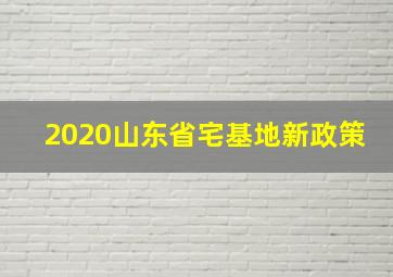 2020山东省宅基地新政策