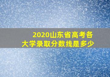 2020山东省高考各大学录取分数线是多少