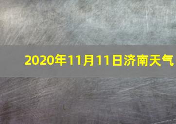 2020年11月11日济南天气