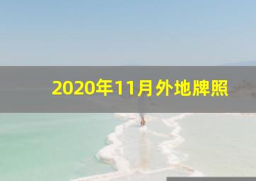 2020年11月外地牌照