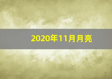 2020年11月月亮