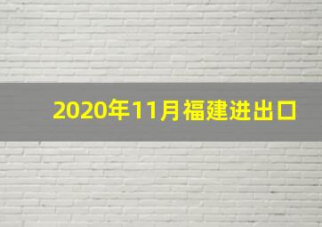 2020年11月福建进出口