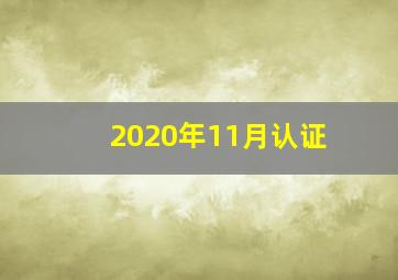 2020年11月认证