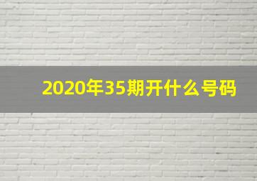 2020年35期开什么号码