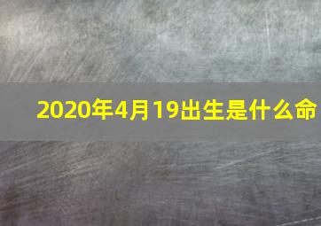 2020年4月19出生是什么命