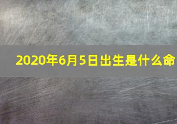 2020年6月5日出生是什么命