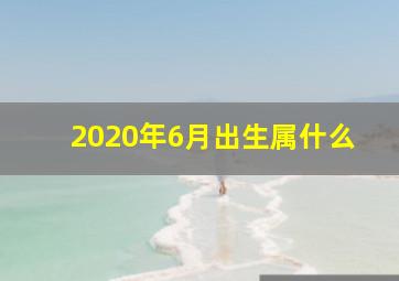 2020年6月出生属什么