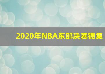 2020年NBA东部决赛锦集